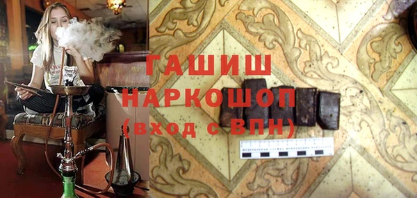 дживик Туринск