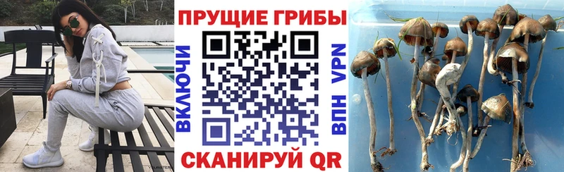Галлюциногенные грибы Magic Shrooms  как найти наркотики  Кинель 